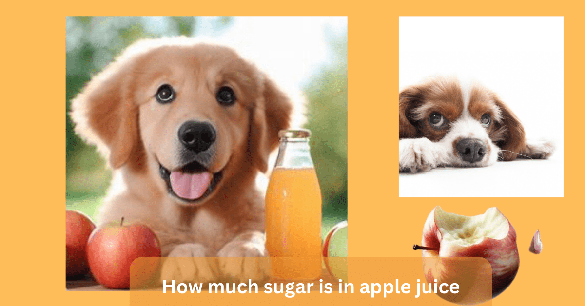 How much sugar is in apple juice